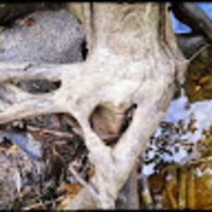 Meet your Posher, Stefanie